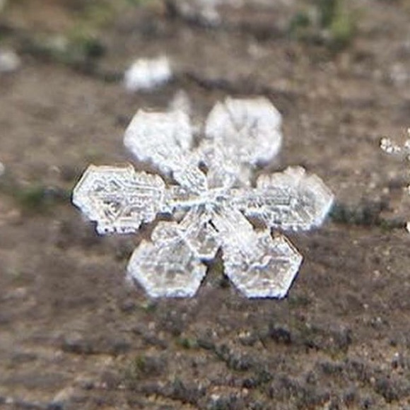 Meet your Posher, Lori - Picture 1 of 1